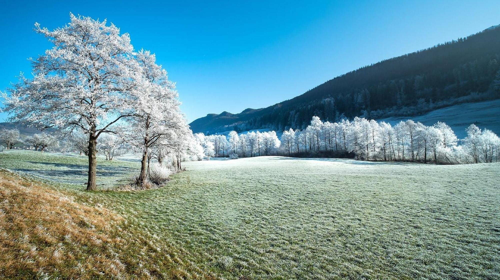 Alpen Appartement Winterberg Buitenkant foto